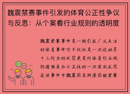 魏震禁赛事件引发的体育公正性争议与反思：从个案看行业规则的透明度与公正性