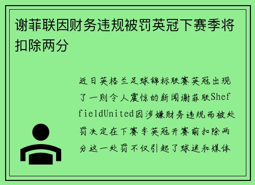 谢菲联因财务违规被罚英冠下赛季将扣除两分 谢菲联因财务违规被罚英冠下赛季将扣除两分